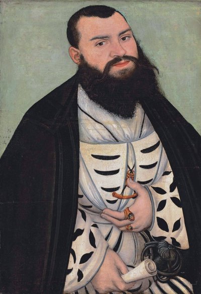 Portrait of Dr. Johann Scheiring by Lucas Cranach the Elder